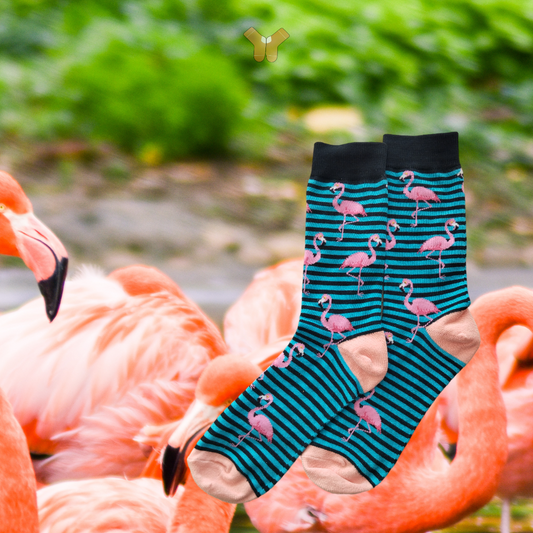 Chaussettes flamant rose rayé – Design fun et coloré pour un style tropical.